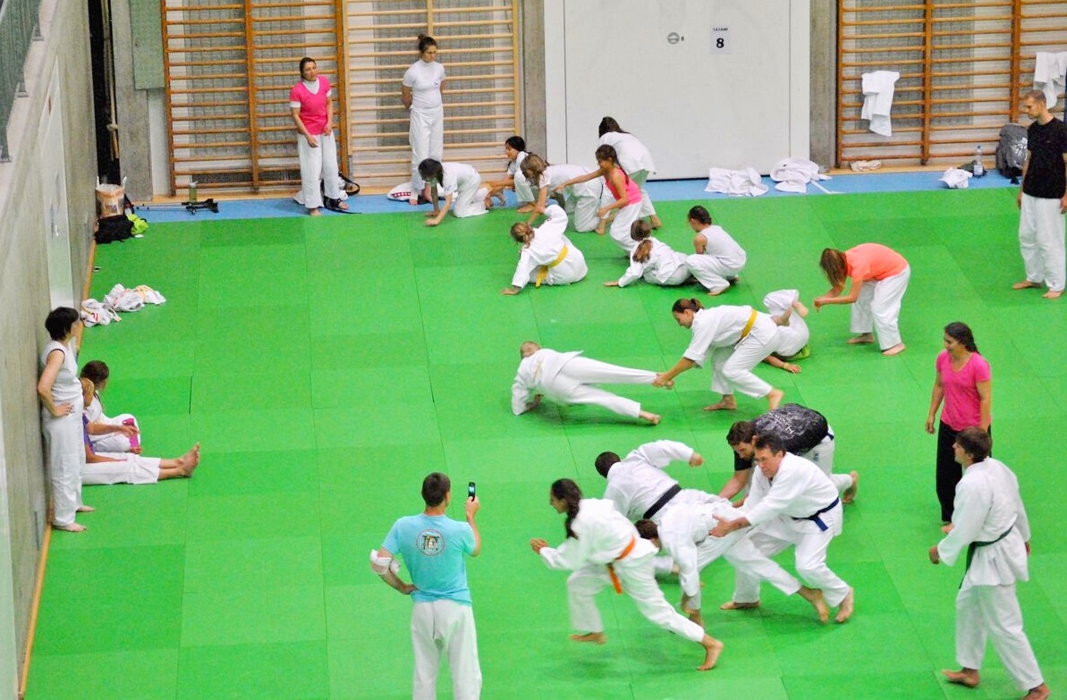 Nationaler Ju Jitsu Day 2017 1