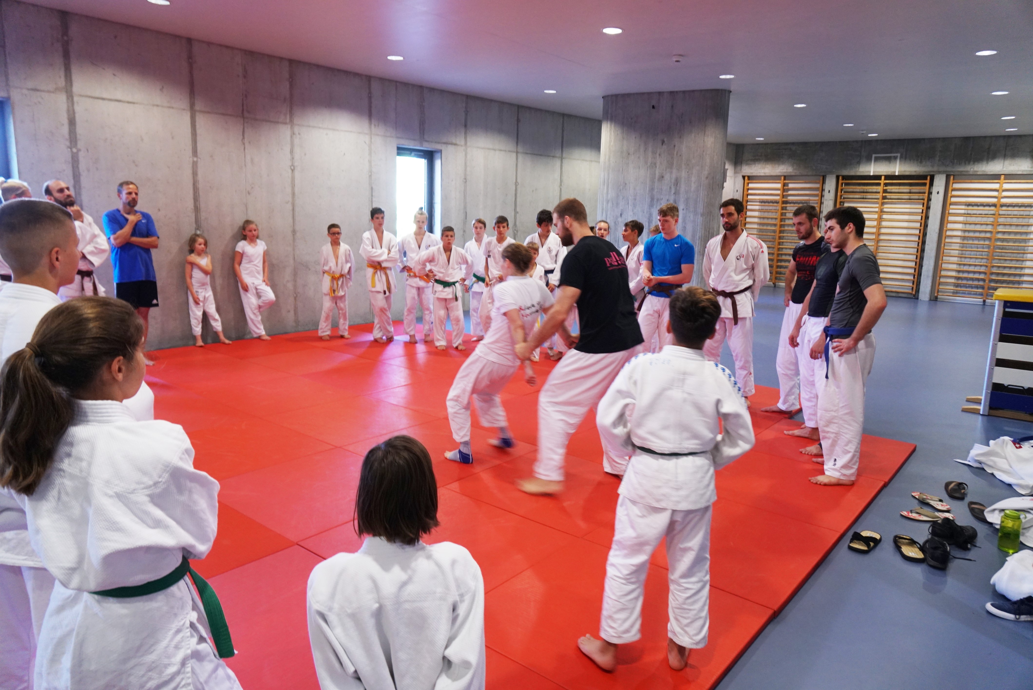 Bild 2 Judo Ju Jitsu Day Bern 2019